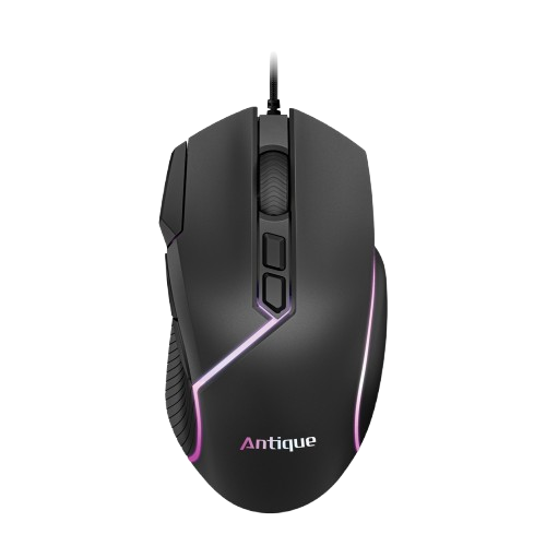 Mouse